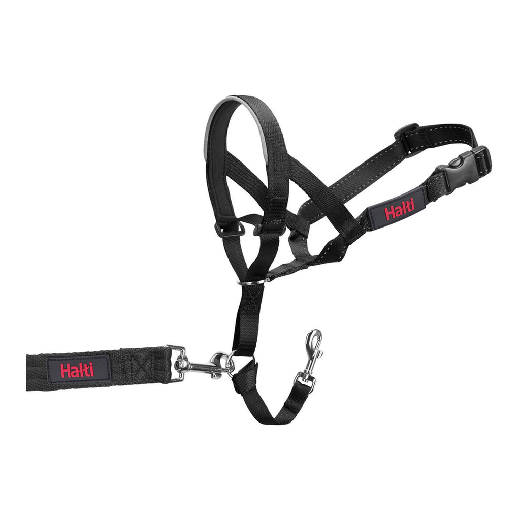 Dog Training Collars Company of Animals Halti Black Muzzle (35-48 cm)-7