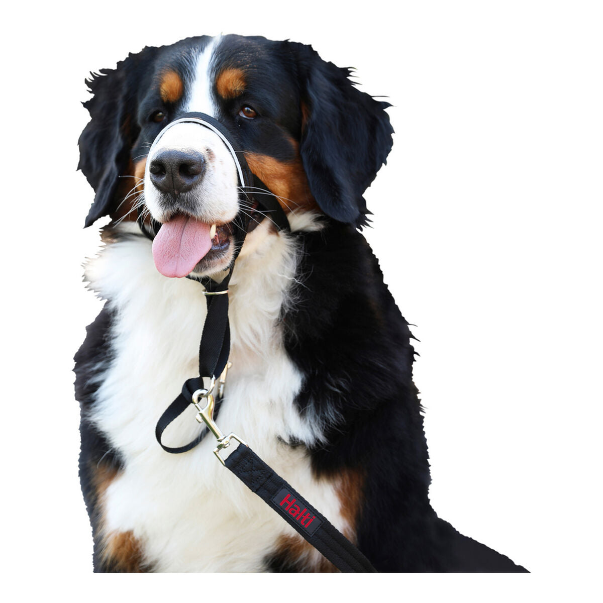 Dog Training Collars Company of Animals Halti Black Muzzle (35-48 cm)-6
