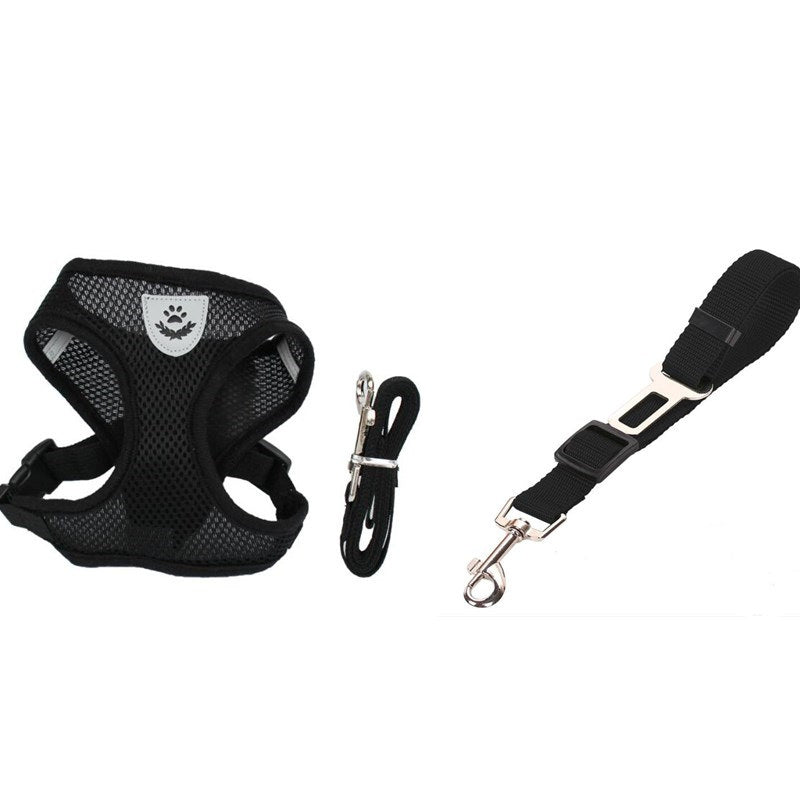 Dog Harness and Leash