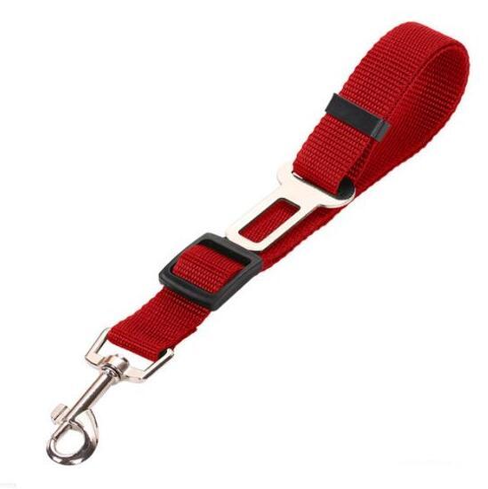 Dog Harness and Leash