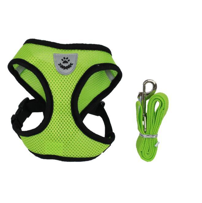 Dog Harness and Leash