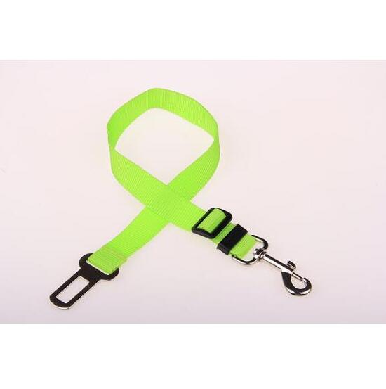 Dog Harness and Leash
