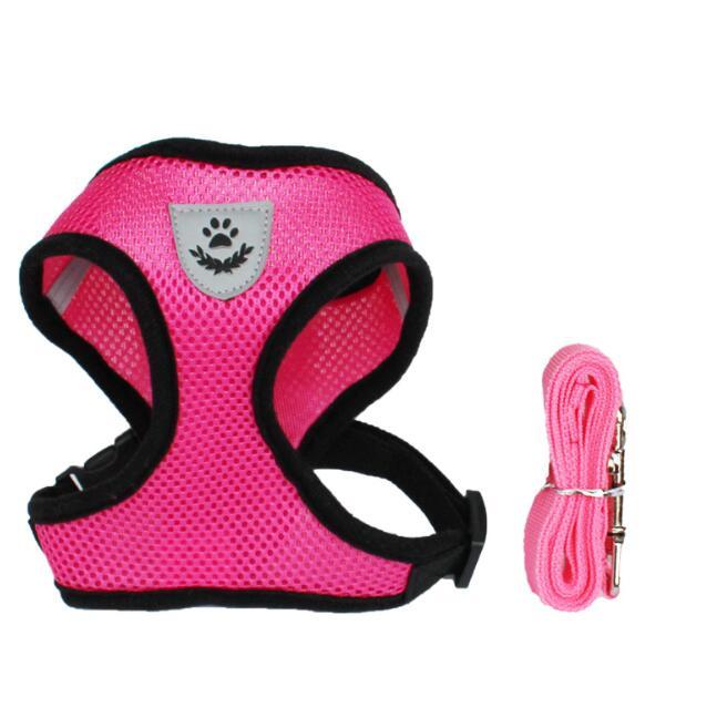 Dog Harness and Leash