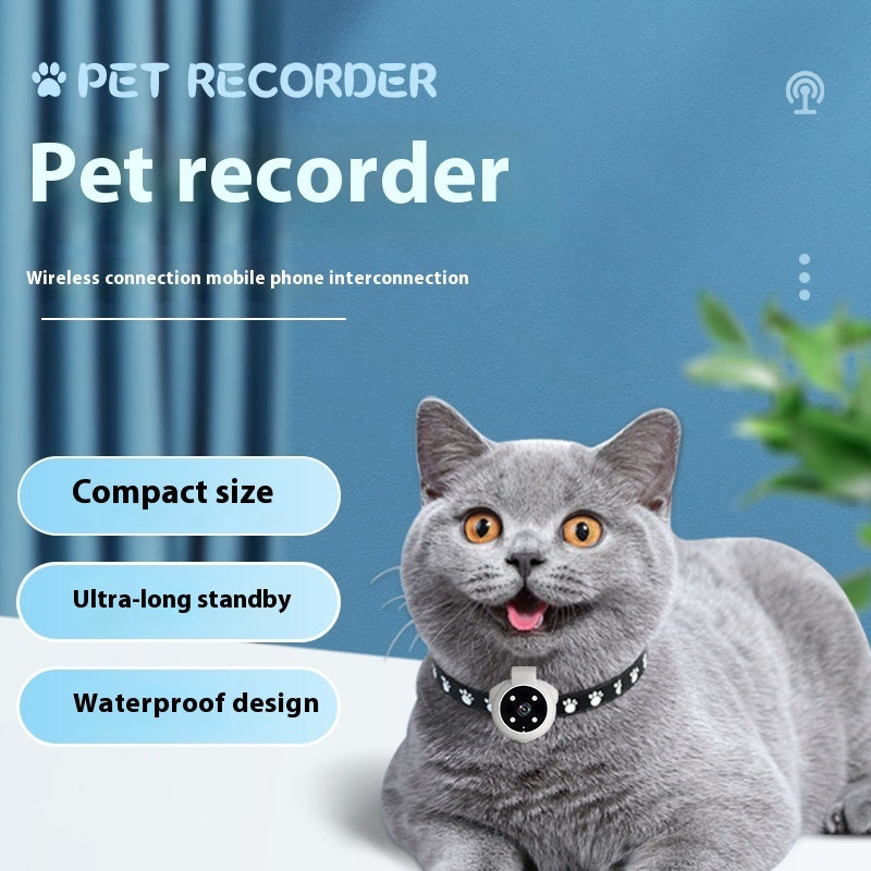 Pets Recorder Tracker Collar Dogs And Cat