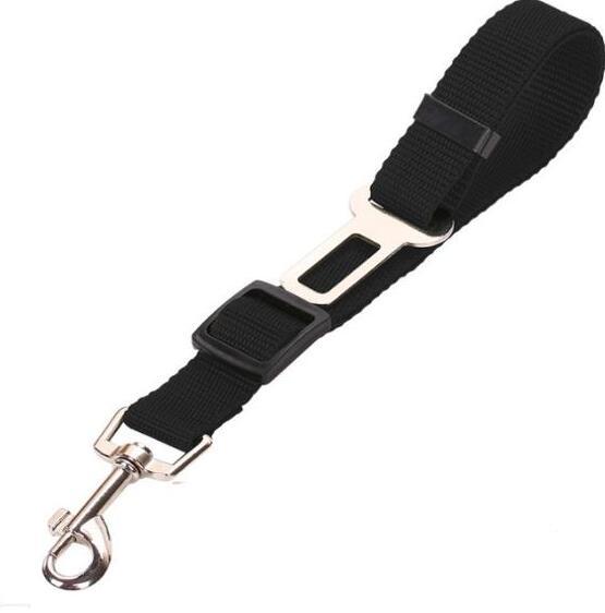 Dog Harness and Leash