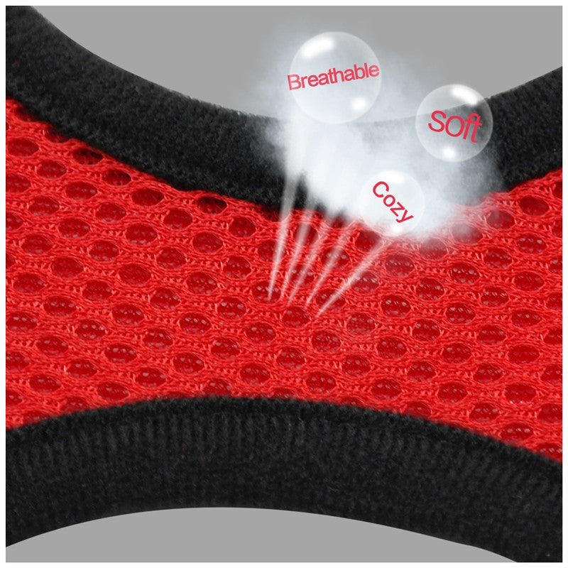 Dog Harness and Leash