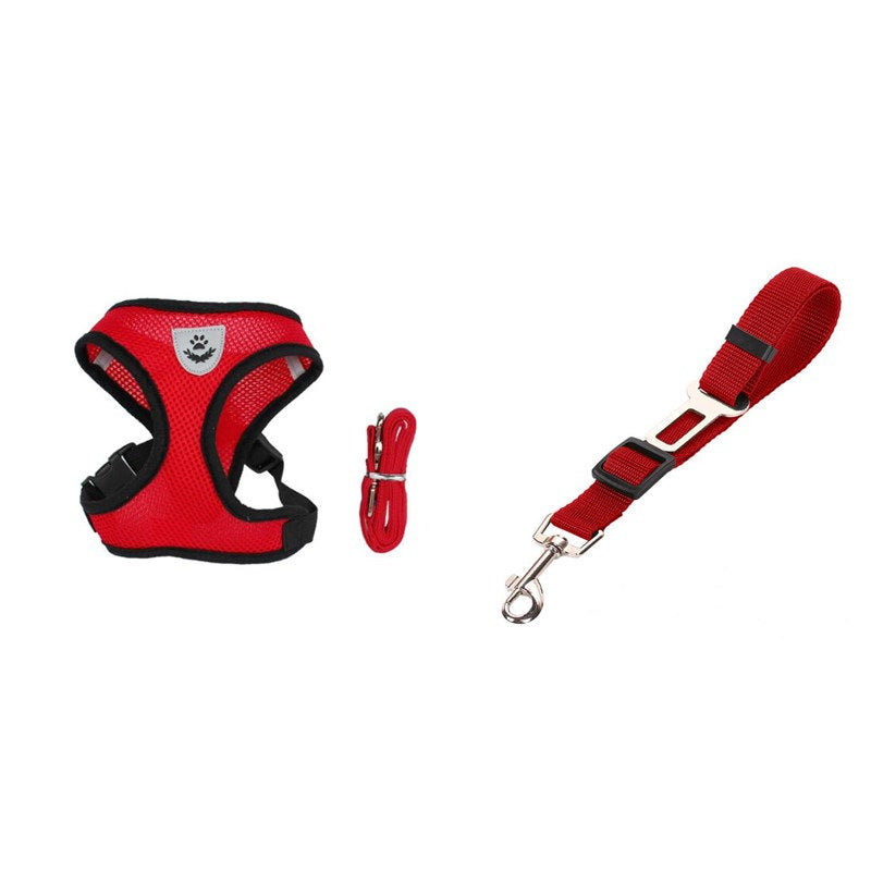 Dog Harness and Leash