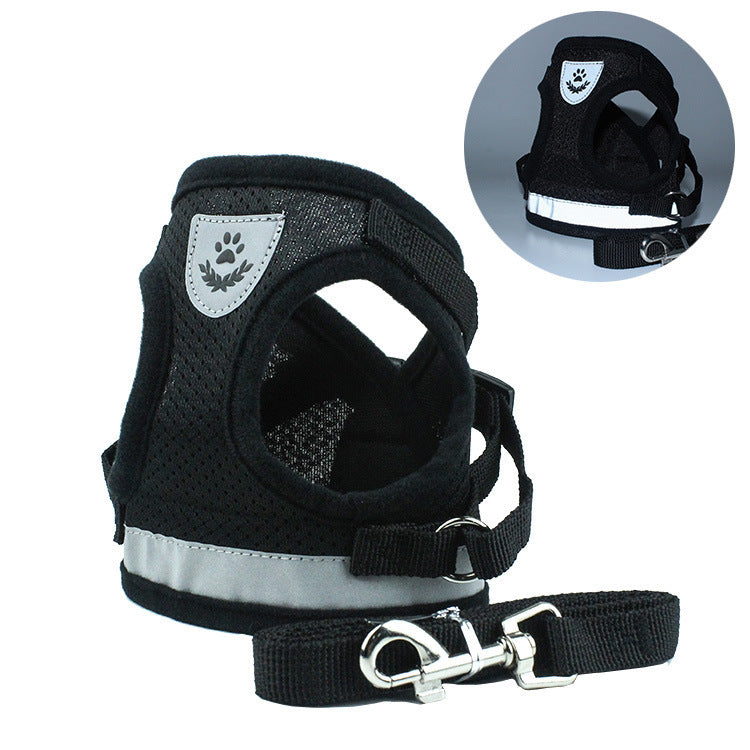 Dog Harness and Leash