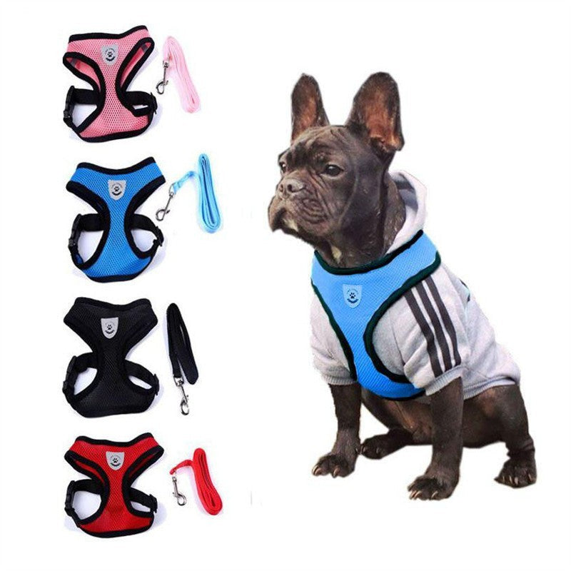 Dog Harness and Leash