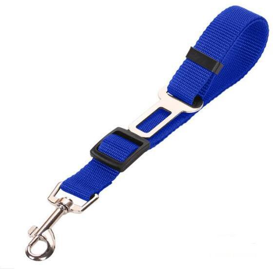 Dog Harness and Leash