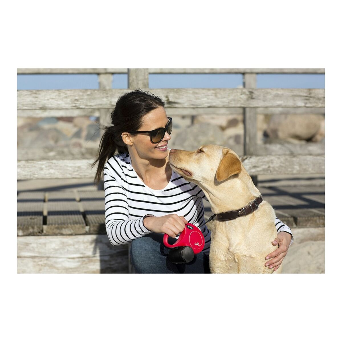 Dog Lead Flexi NEW CLASSIC Pink S-1