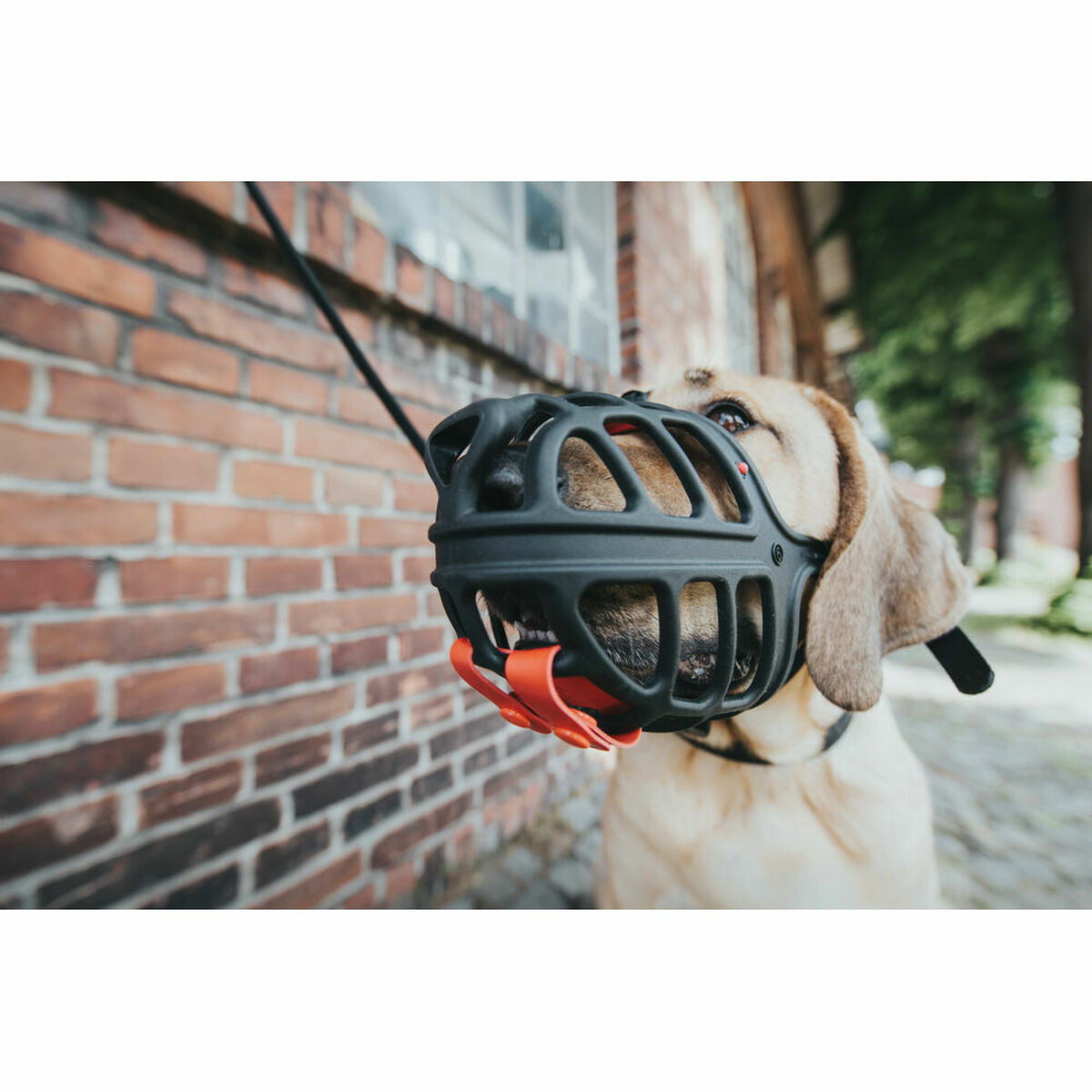 Maulkorb Hunter Albury Schwarz (45 cm) (21 cm) (5 cm)-13
