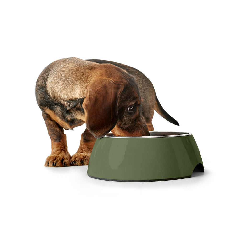 Dog Feeder Hunter Green 350 ml-1