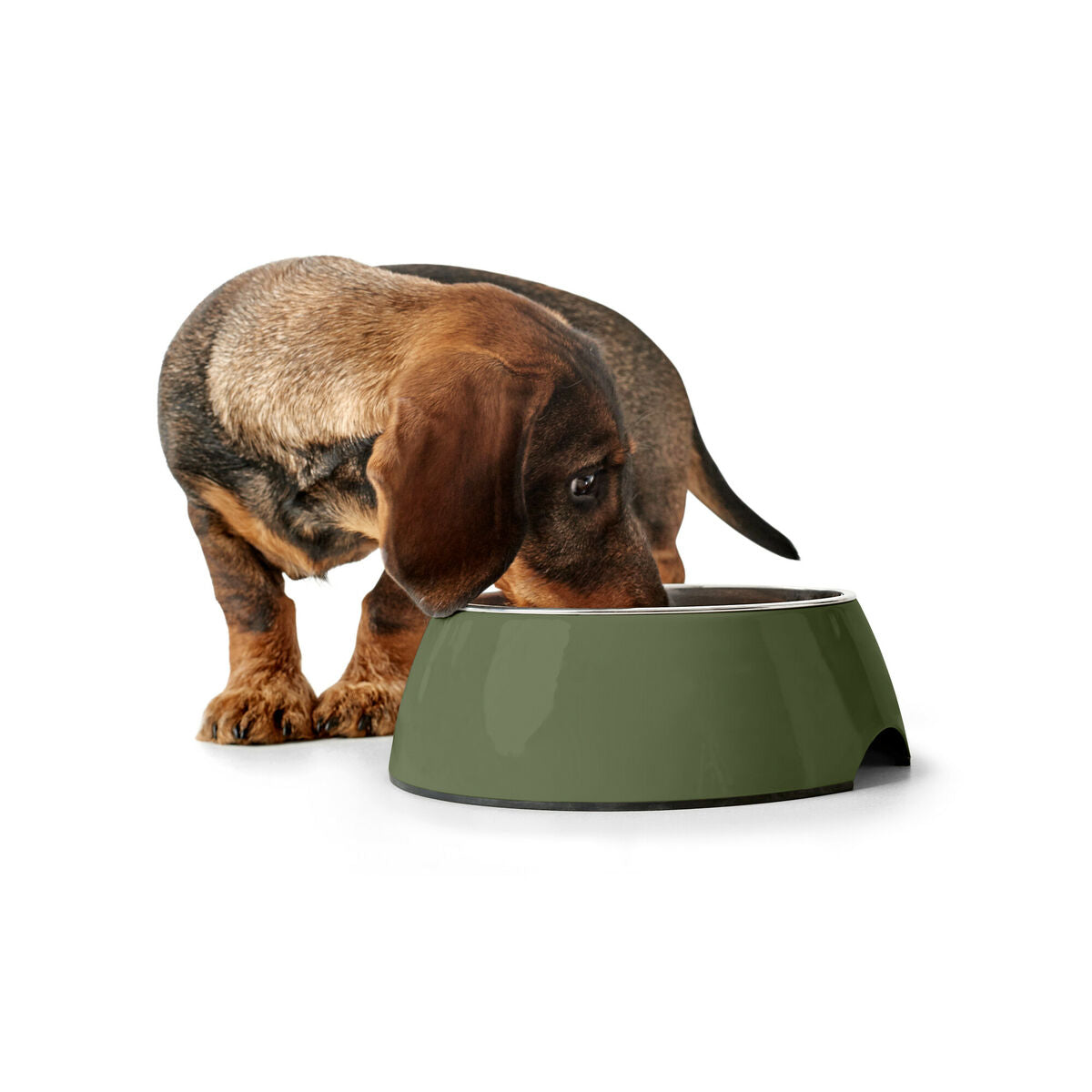 Dog Feeder Hunter Green 350 ml-1