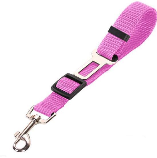 Dog Harness and Leash