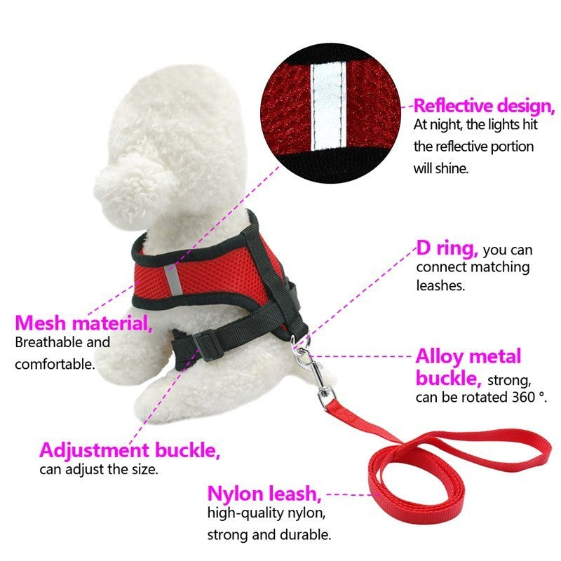 Dog Harness and Leash