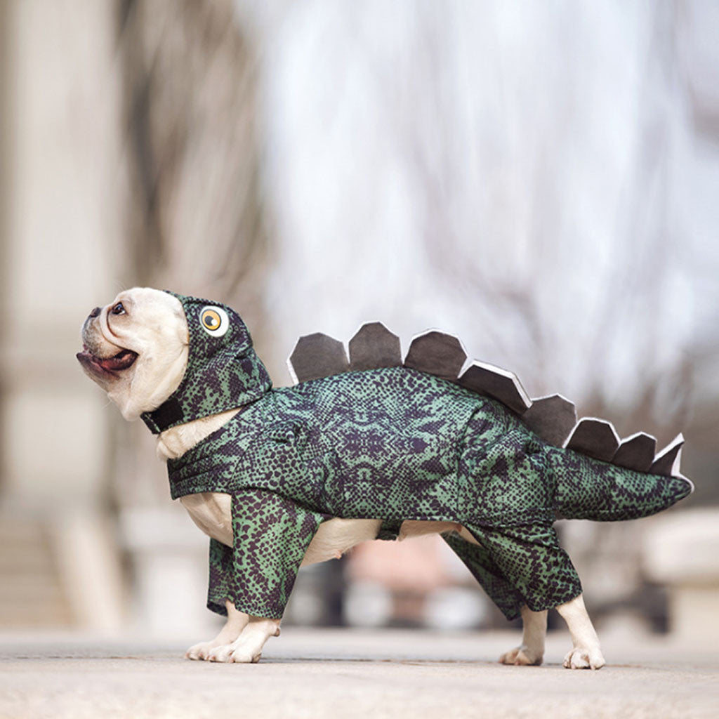 Dog Dinosaur Suit XS - XXL