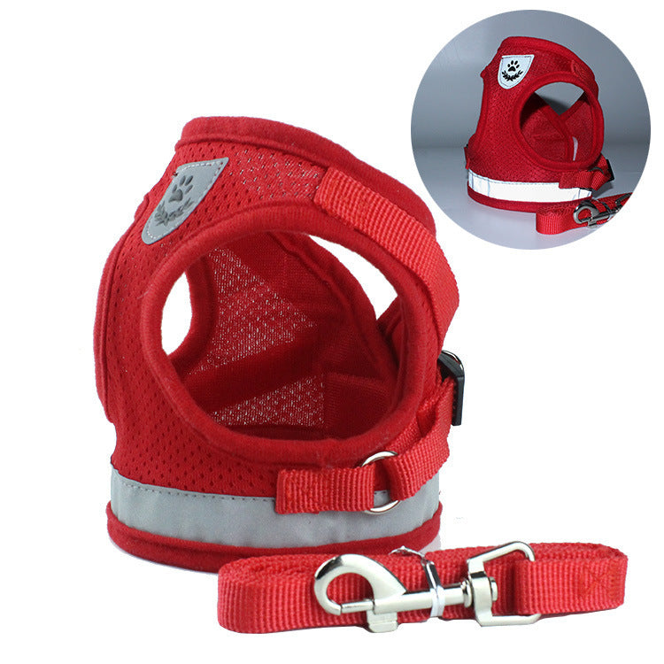Dog Harness and Leash