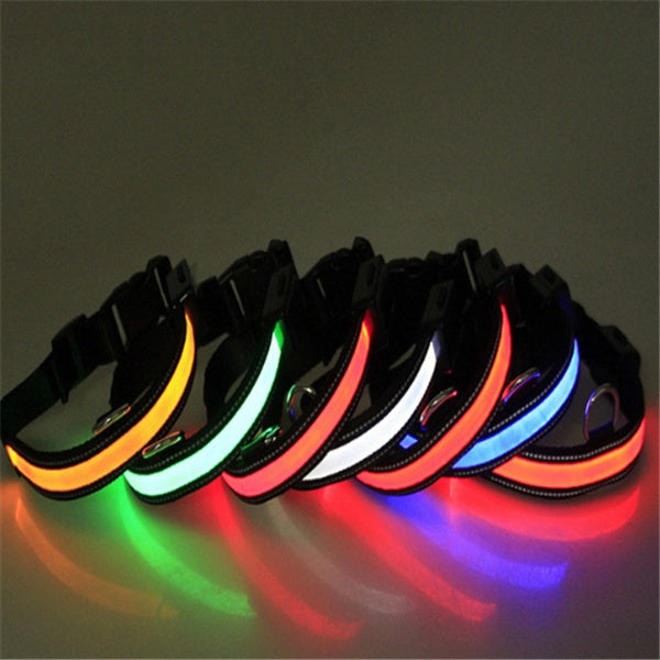 Fluoreszierendes Hundehalsband