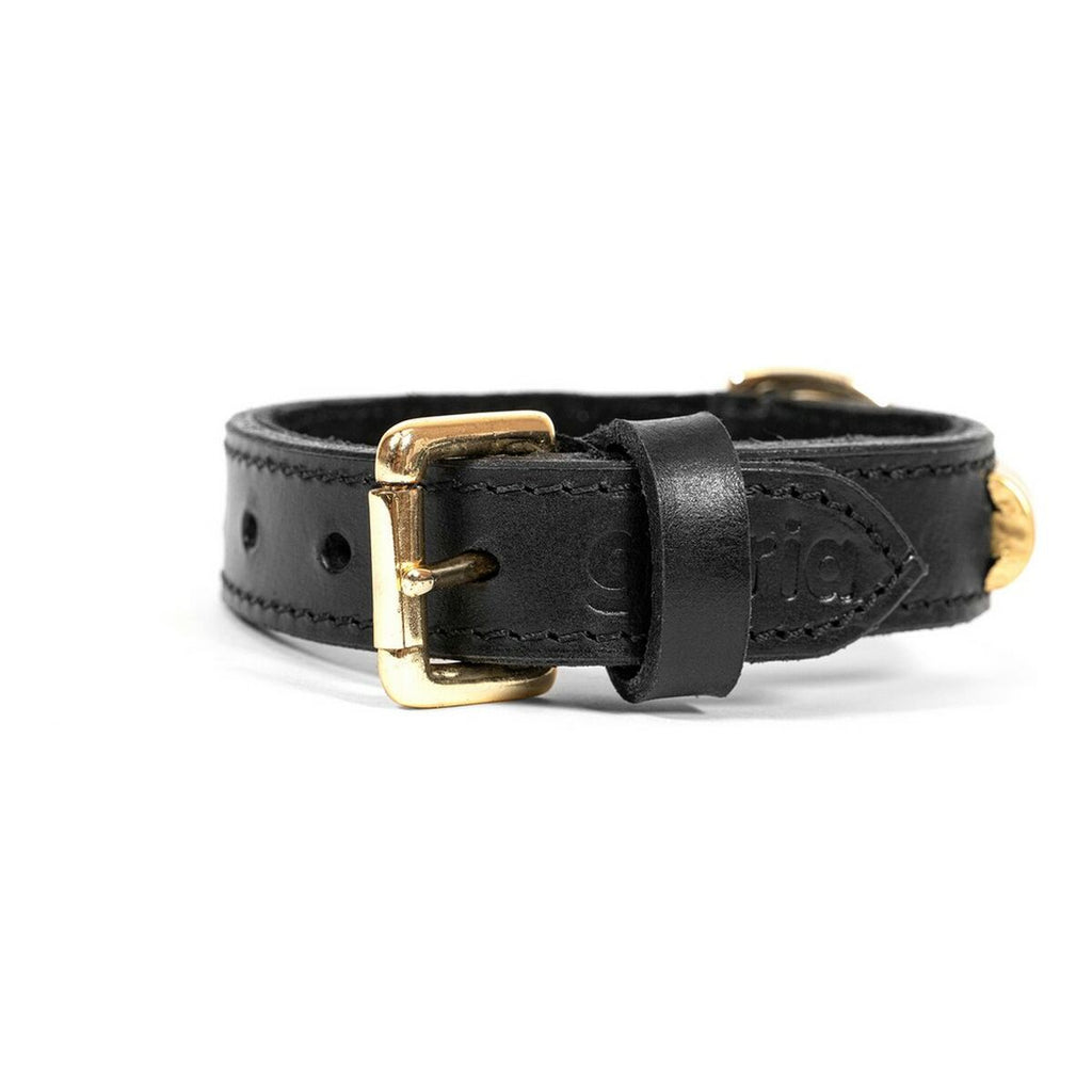 Dog collar Gloria Duna Black Golden (60 x 2.5 cm)-2
