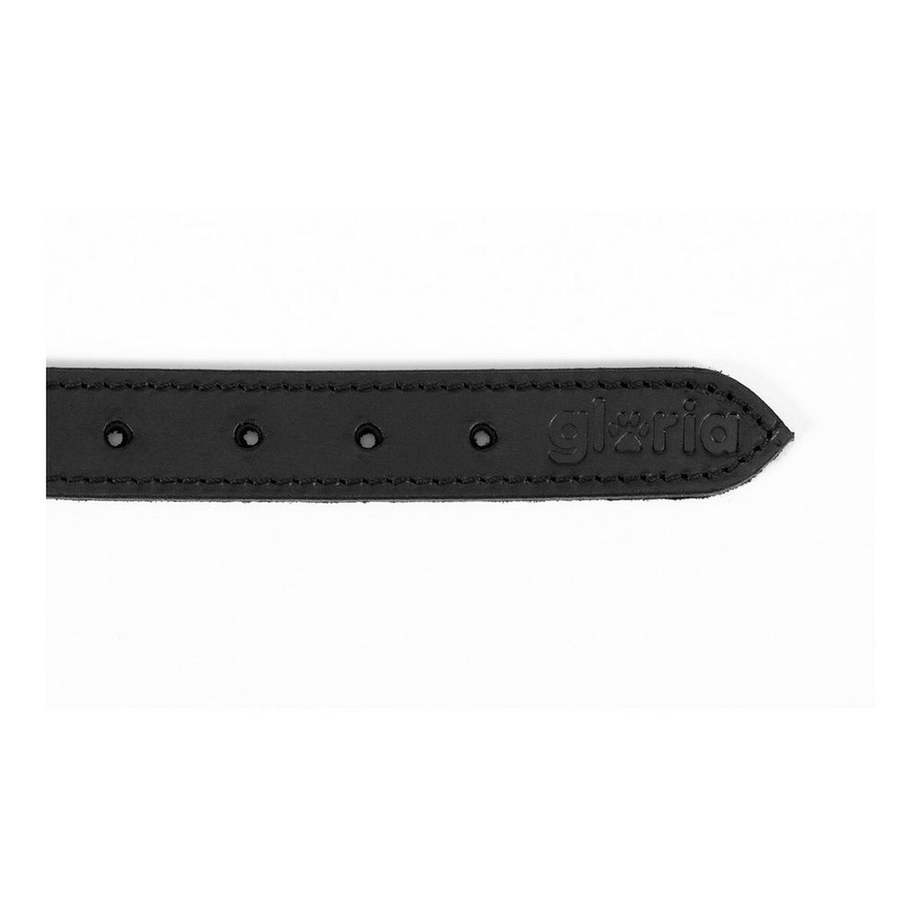 Dog collar Gloria Duna Black Golden (60 x 2.5 cm)-1