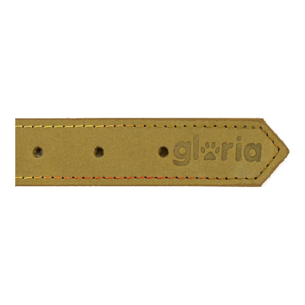 Dog collar Gloria Oasis Green (40 x 1,5 cm)-1