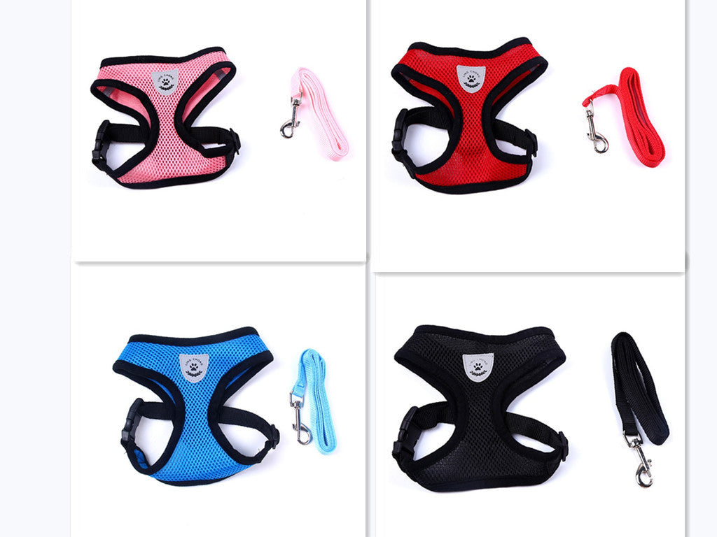 Dog Harness and Leash