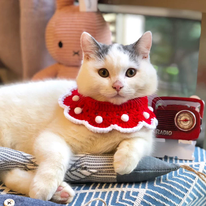 Knitted Bowknot Collar for Pets-2