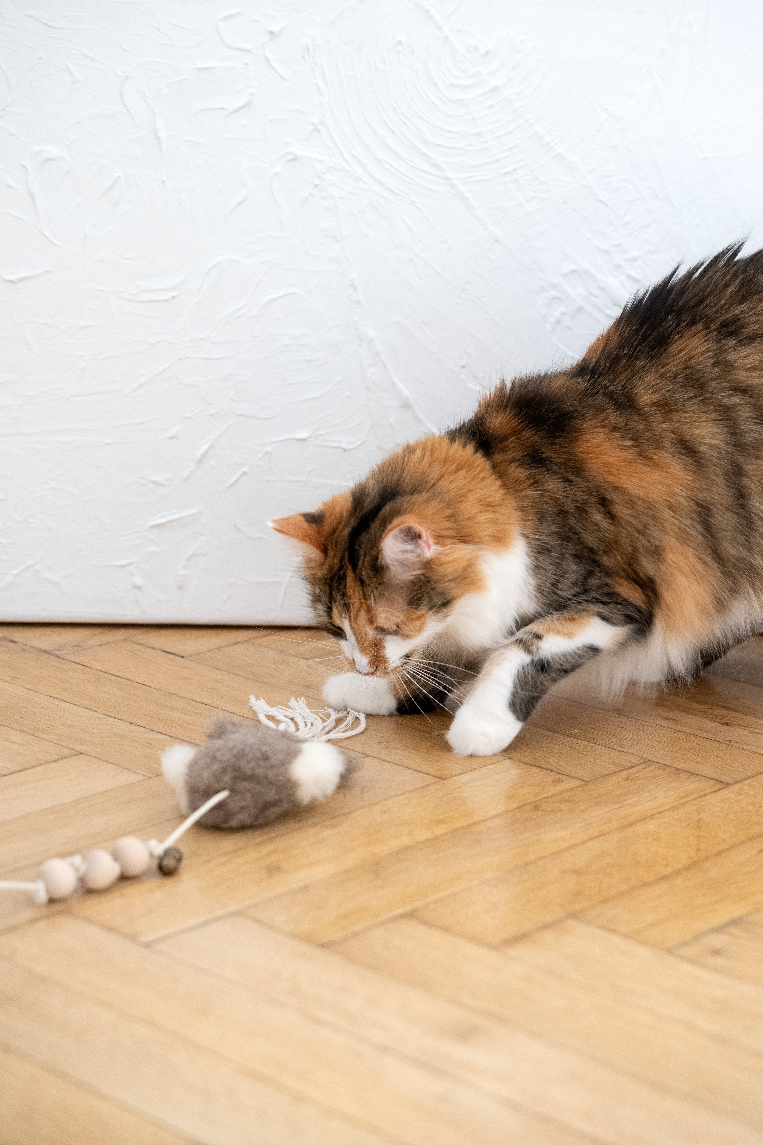 Natural Sheepskin Cat Toy: Squid-2