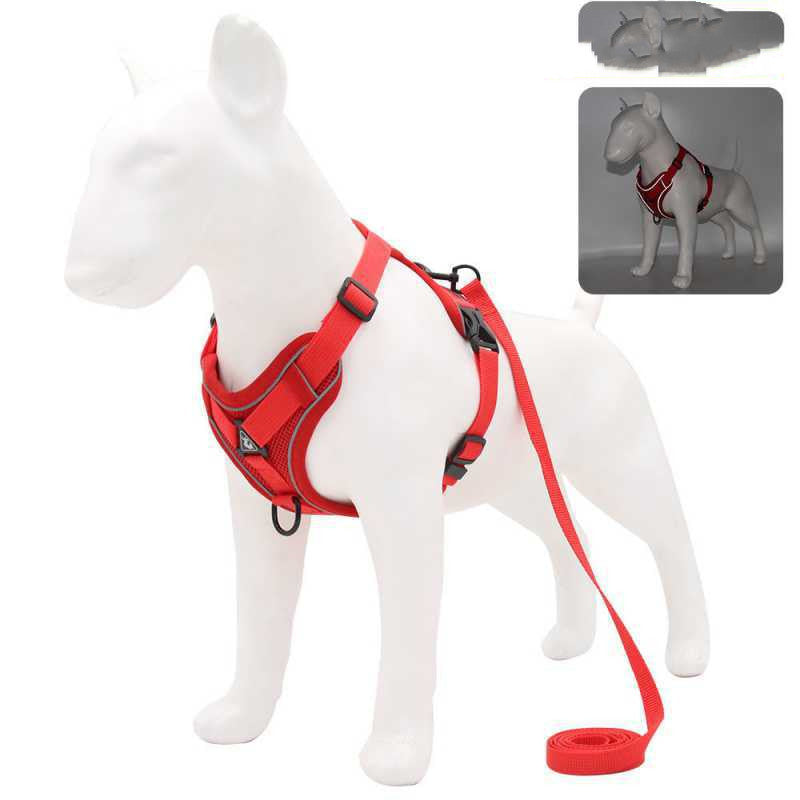 Reflective Vest-Style Harness for Small to Medium Dogs-4