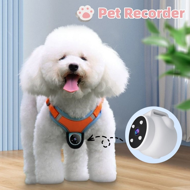Pets Recorder Tracker Collar Dogs And Cat