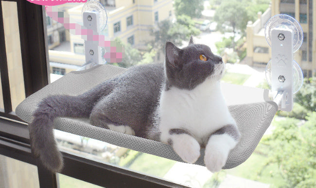 Window Glass Hammock for Cats