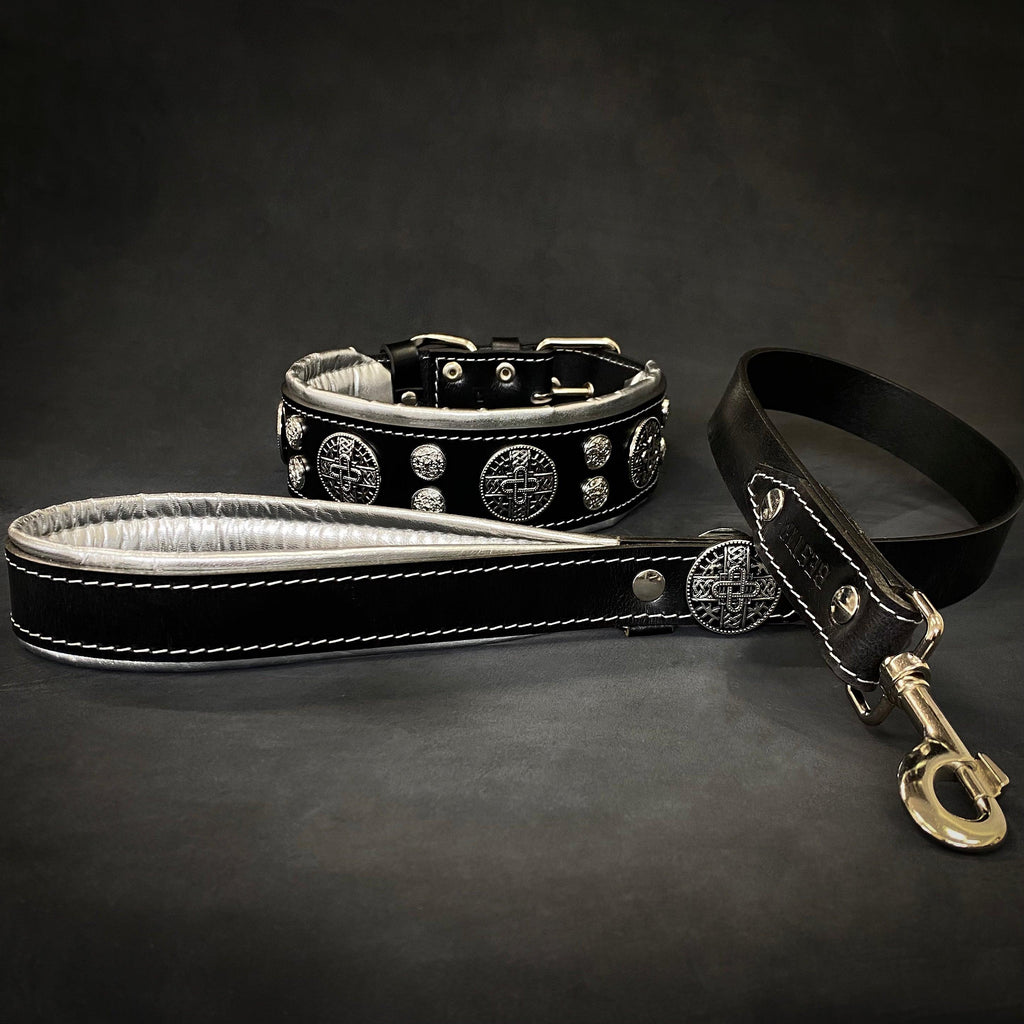 "Hektor" collar for Dog-4