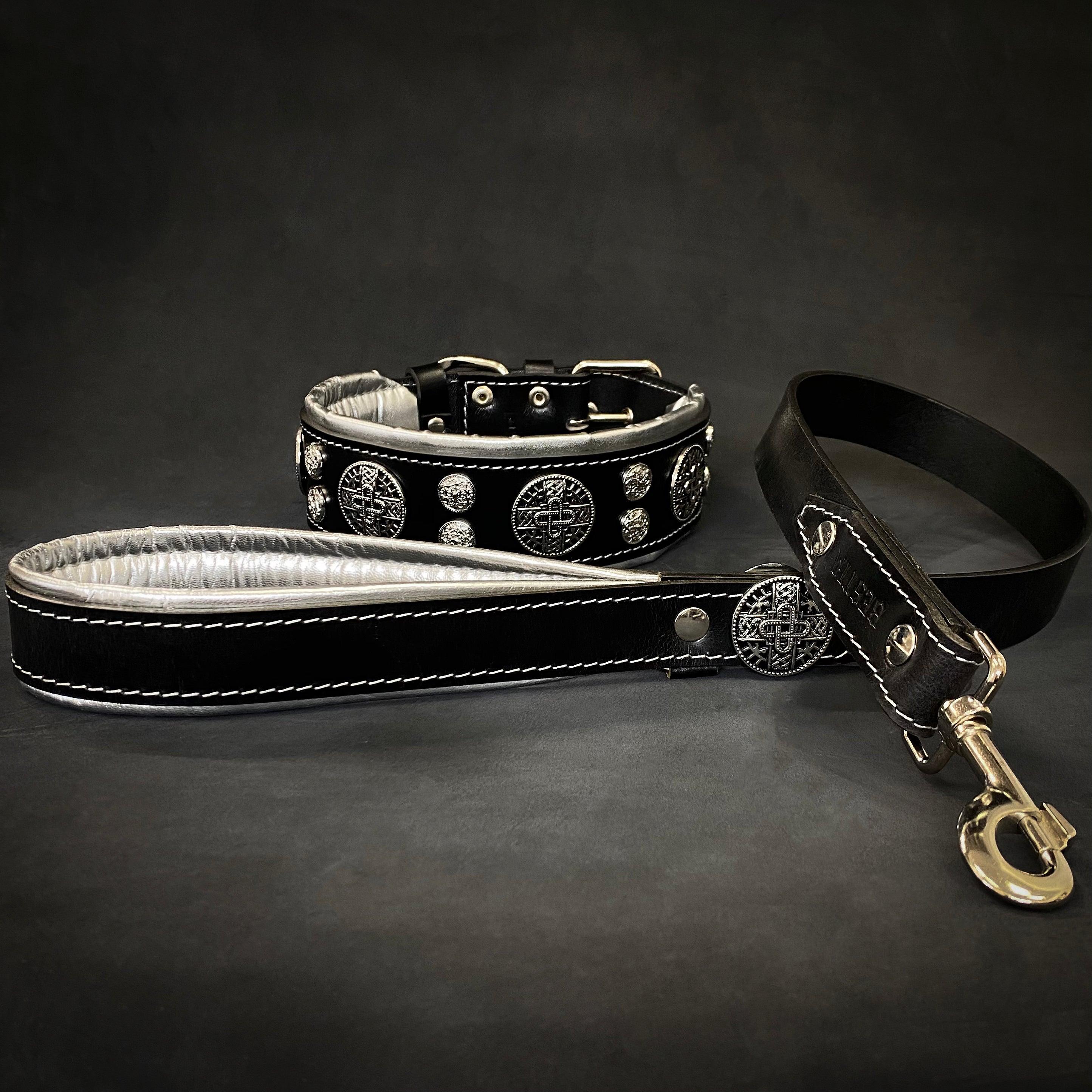 "Hektor" collar for Dog-4