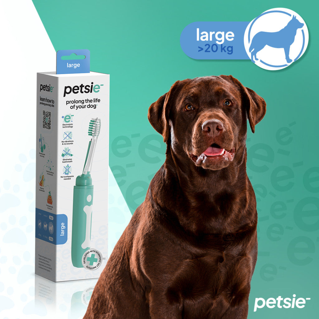 Petsie dog toothbrush (size L 20+kg)-0