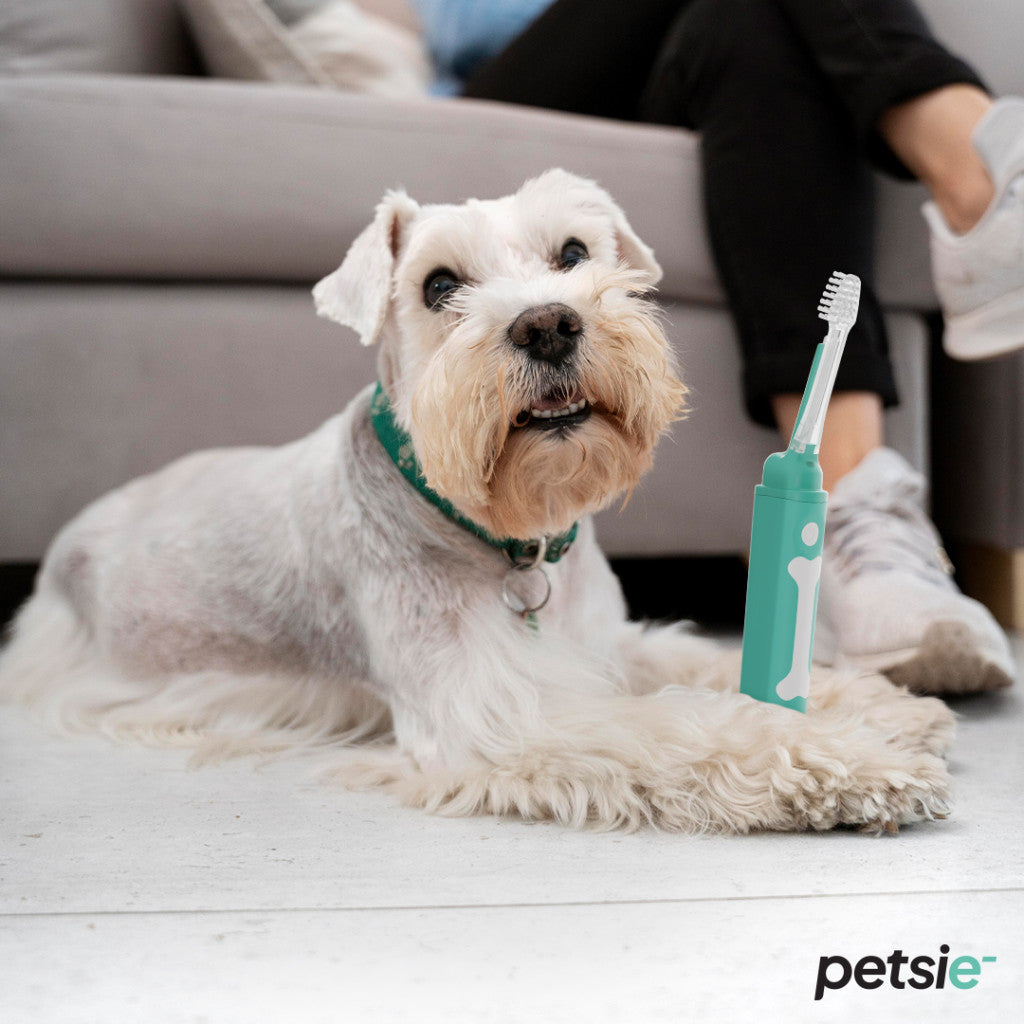 Petsie dog toothbrush (size M 10-20kg)-2