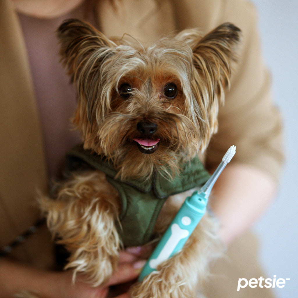 Petsie dog toothbrush (size M 10-20kg)-4