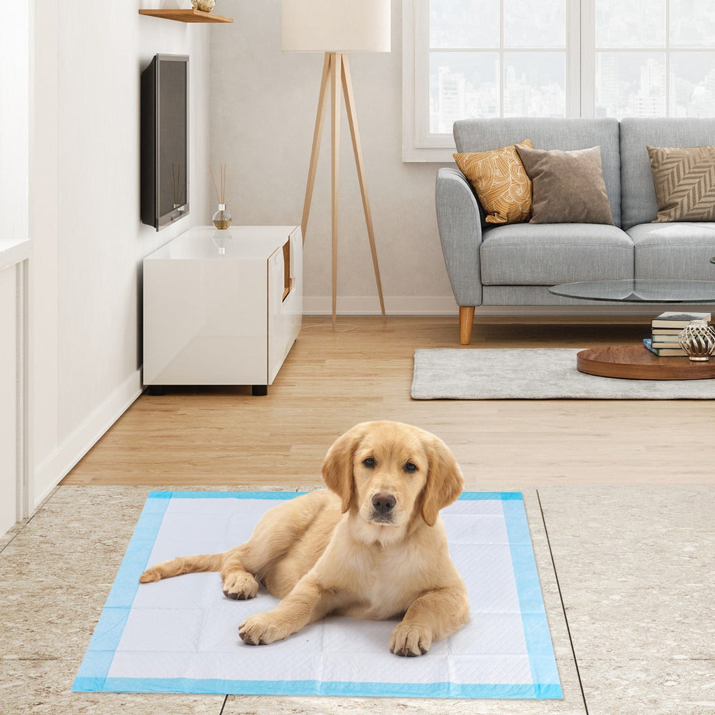 Extra Large Dog Pee pads with Super Absorbent for Doggies 150 Pieces -0
